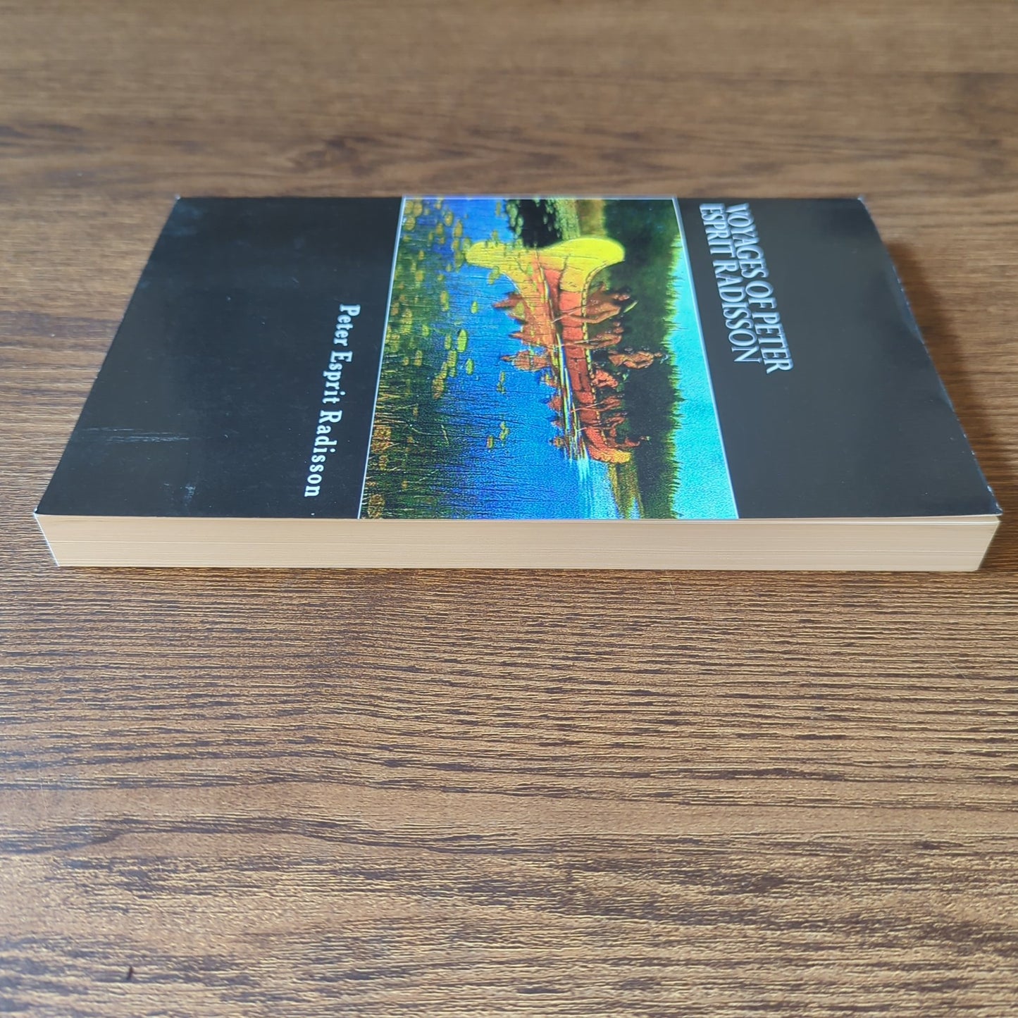 Voyages of Peter Esprit Radisson