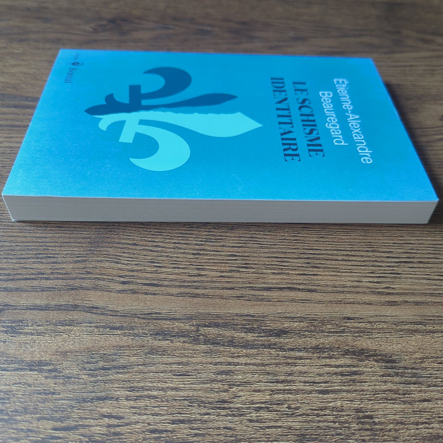 Le Schisme identitaire - Guerre culturelle et imaginaire québécois