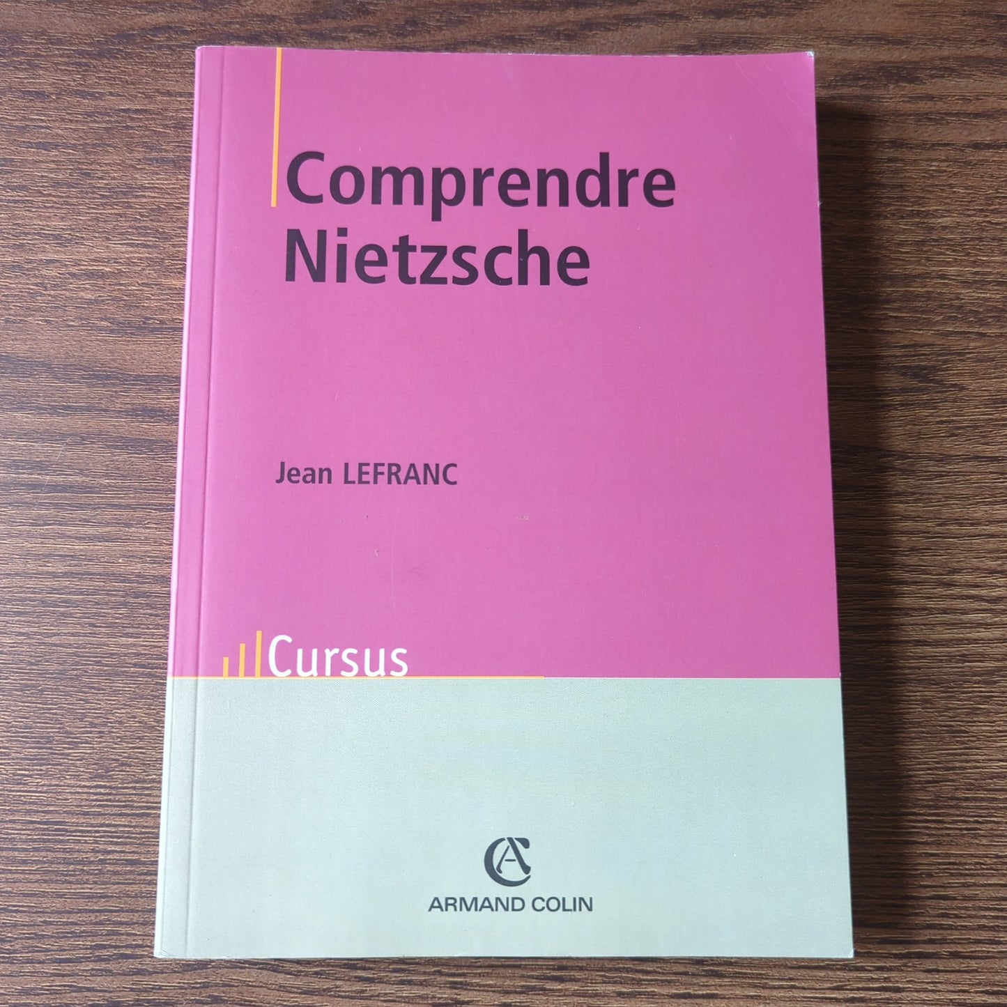 Comprendre Nietzsche