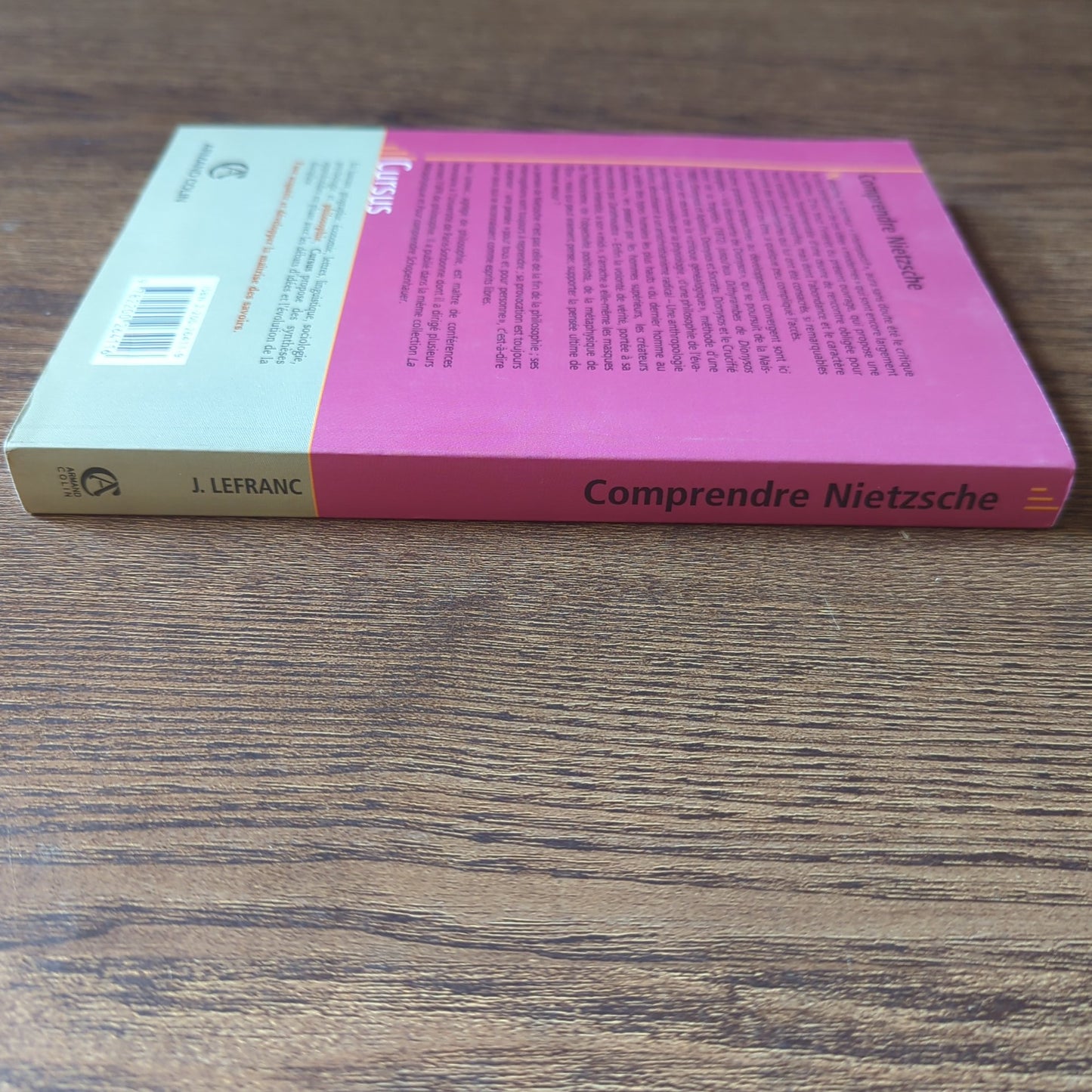 Comprendre Nietzsche