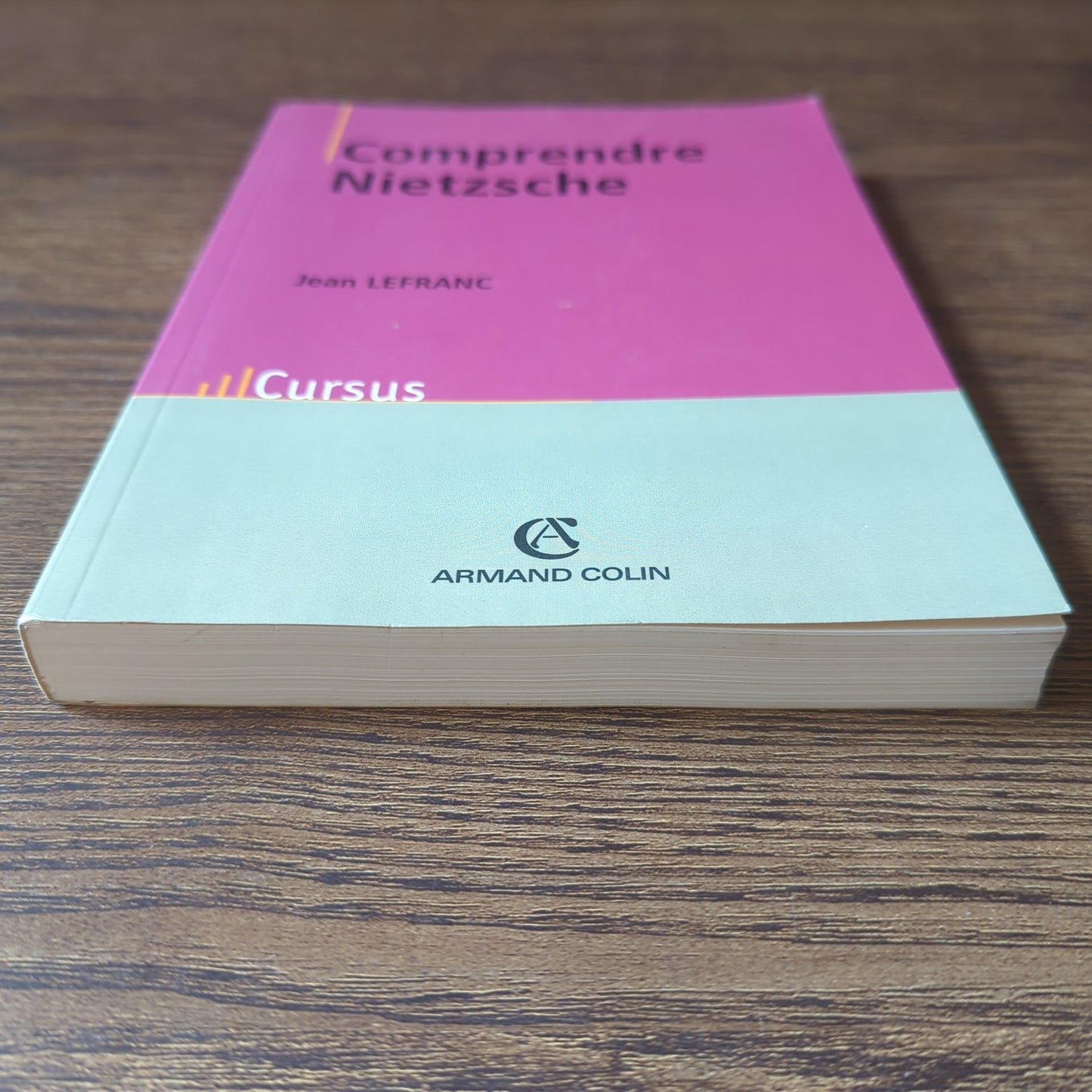 Comprendre Nietzsche