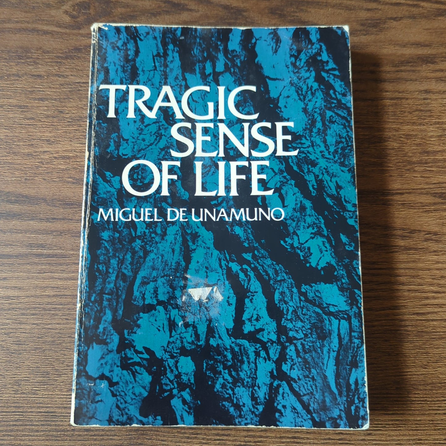 Tragic Sense of Life