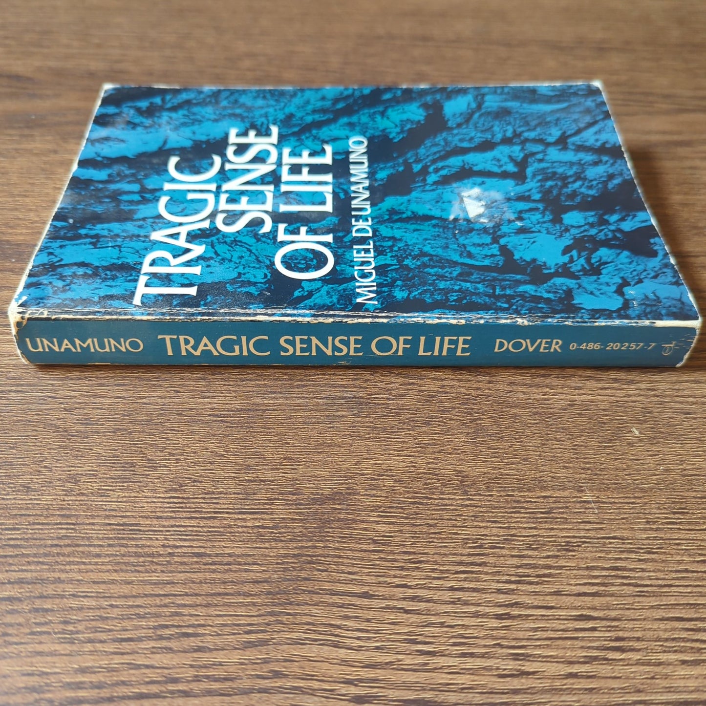 Tragic Sense of Life