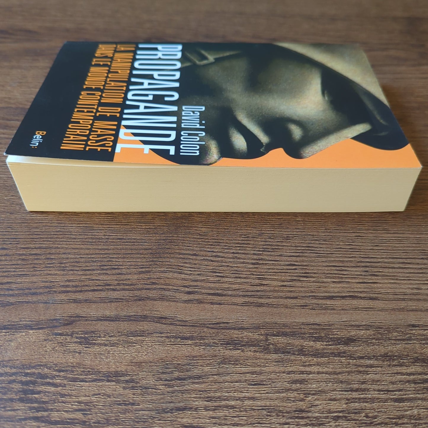 Propagande - La manipulation de masse dans le monde contemporain