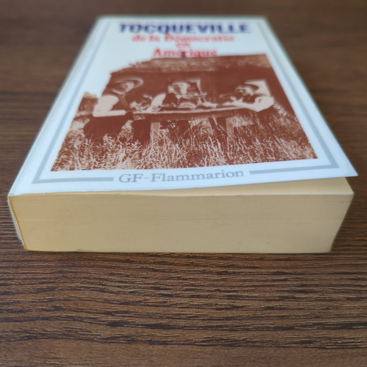 De la Démocratie en Amérique, Tome 1