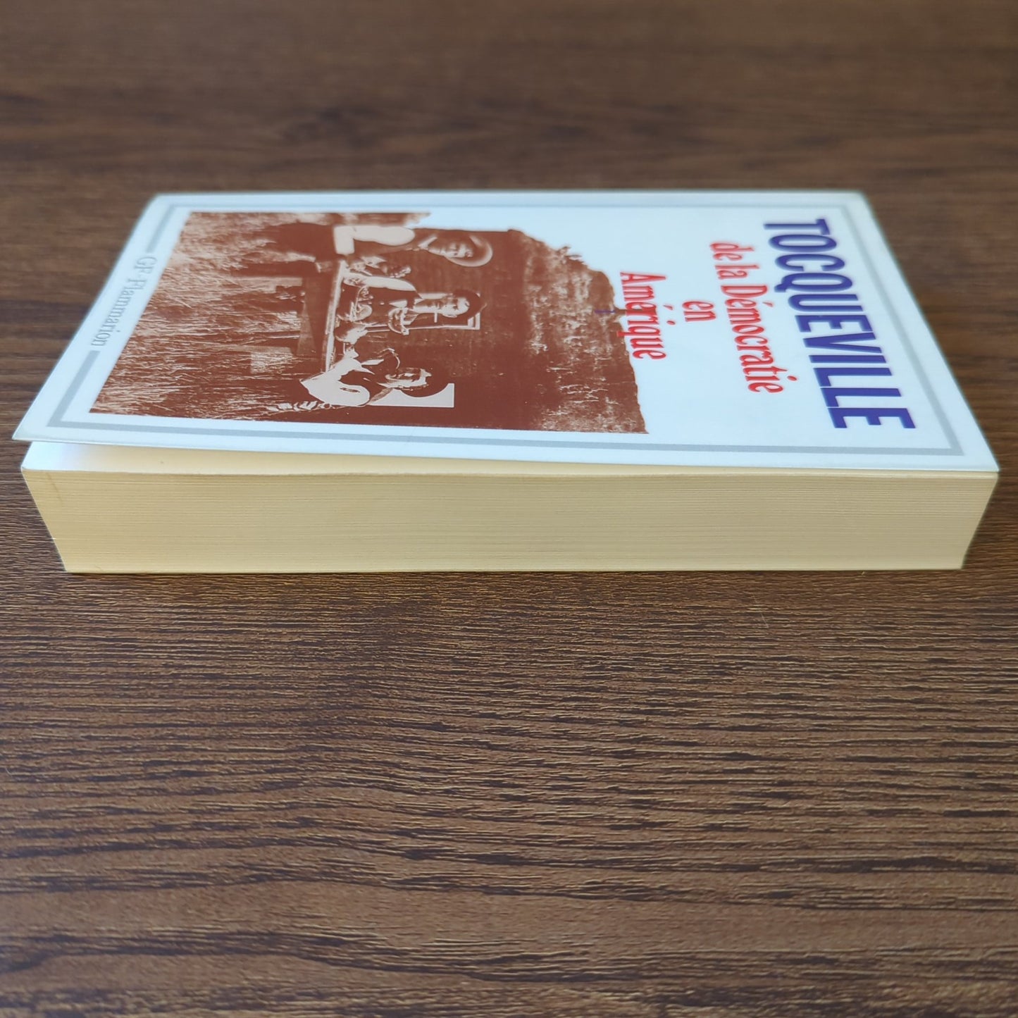 De la Démocratie en Amérique, Tome 1