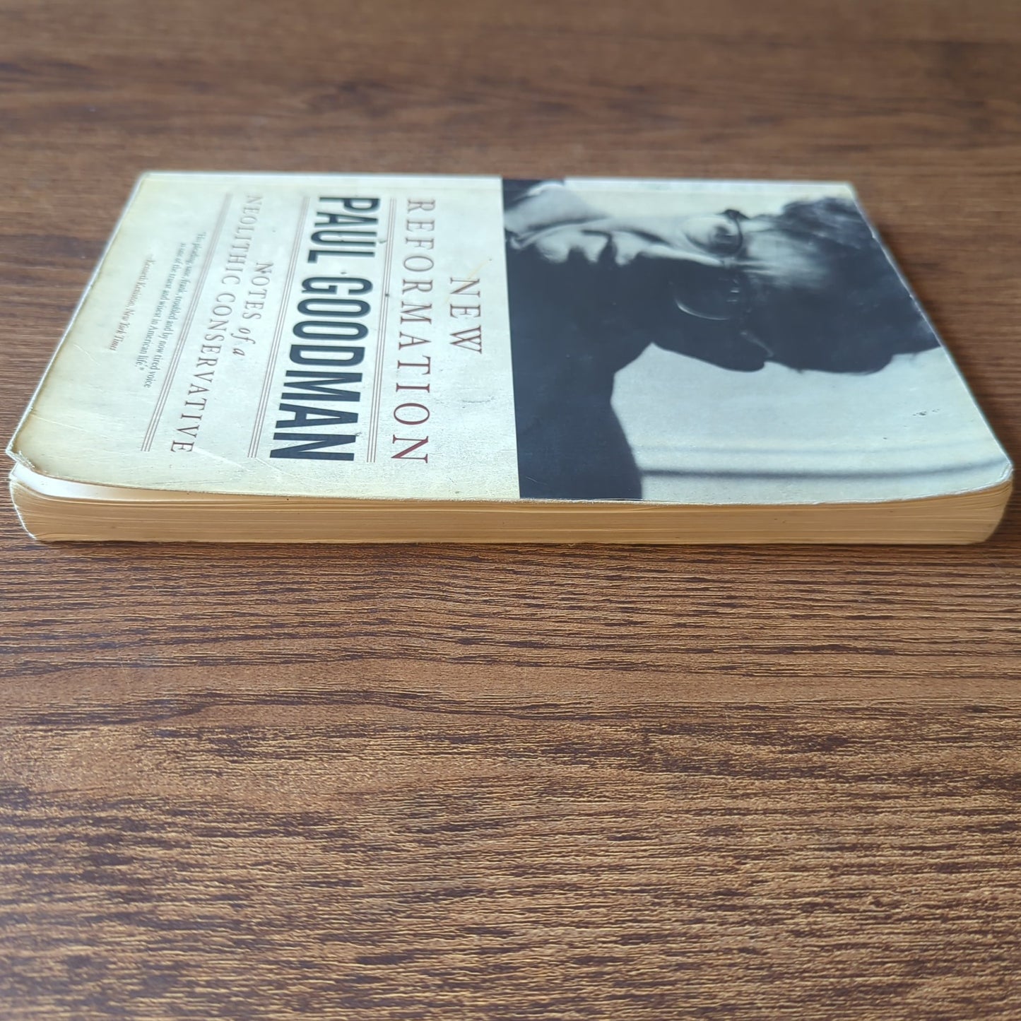 New Reformation - Notes of a Neolithic Conservative