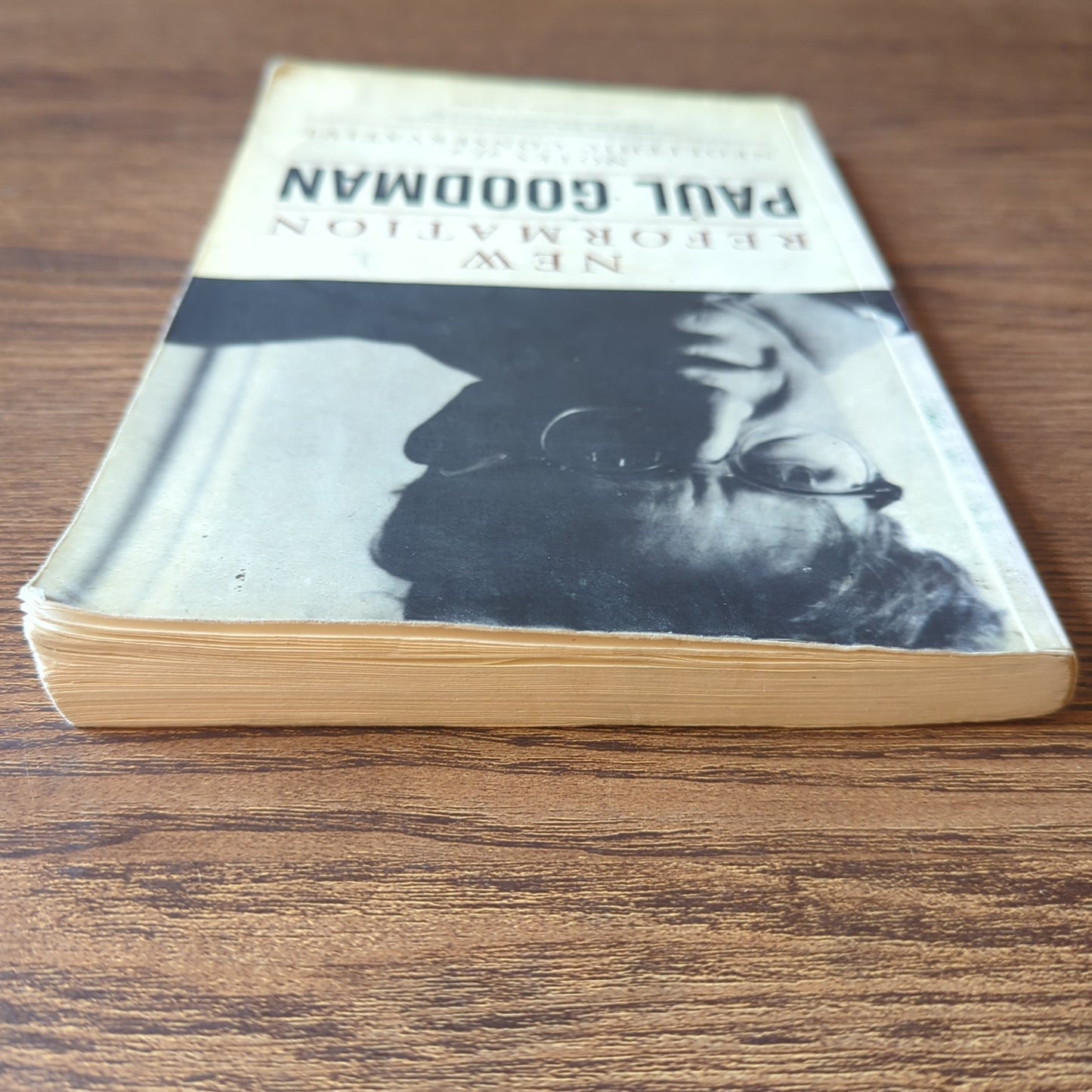 New Reformation - Notes of a Neolithic Conservative