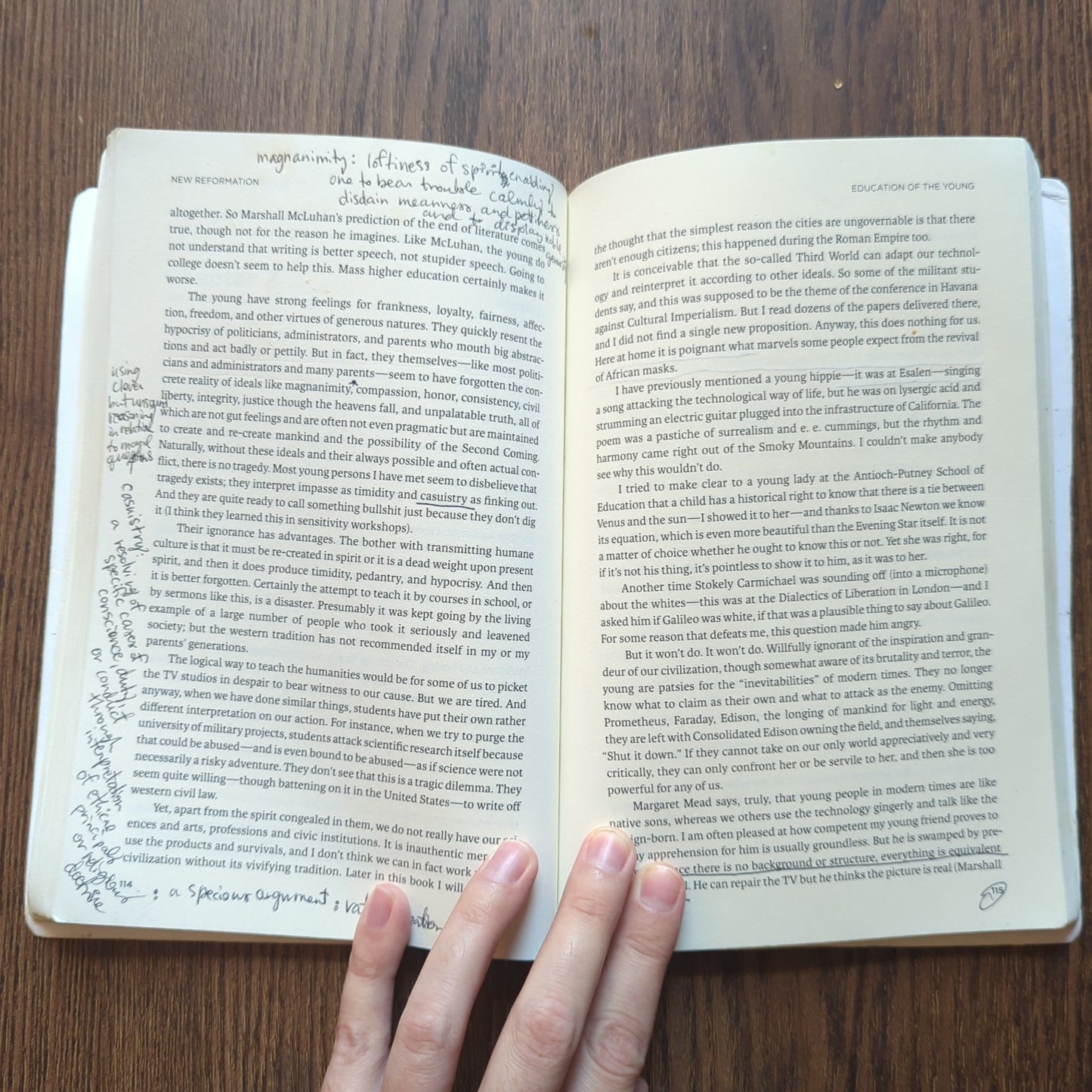 New Reformation - Notes of a Neolithic Conservative