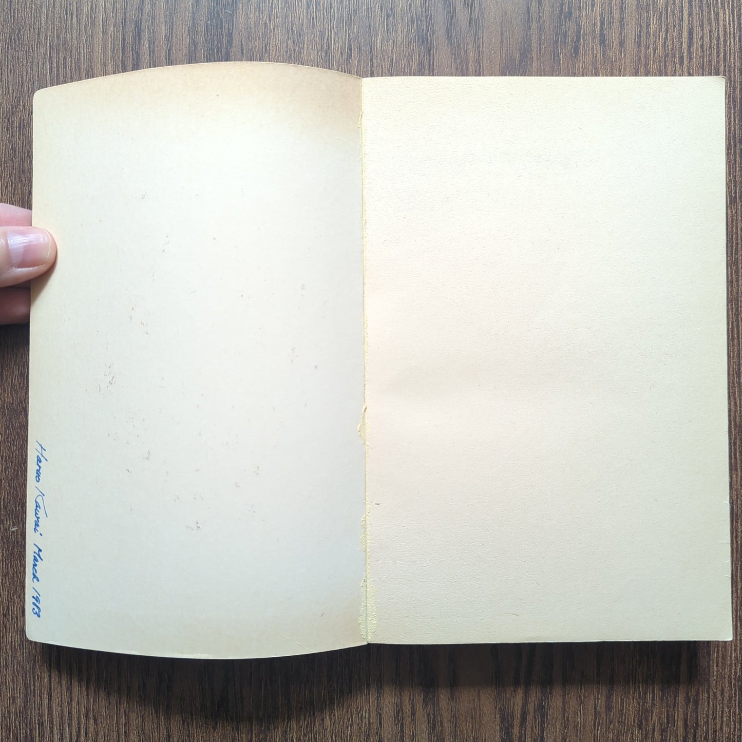 Practicing History - Selected Essays