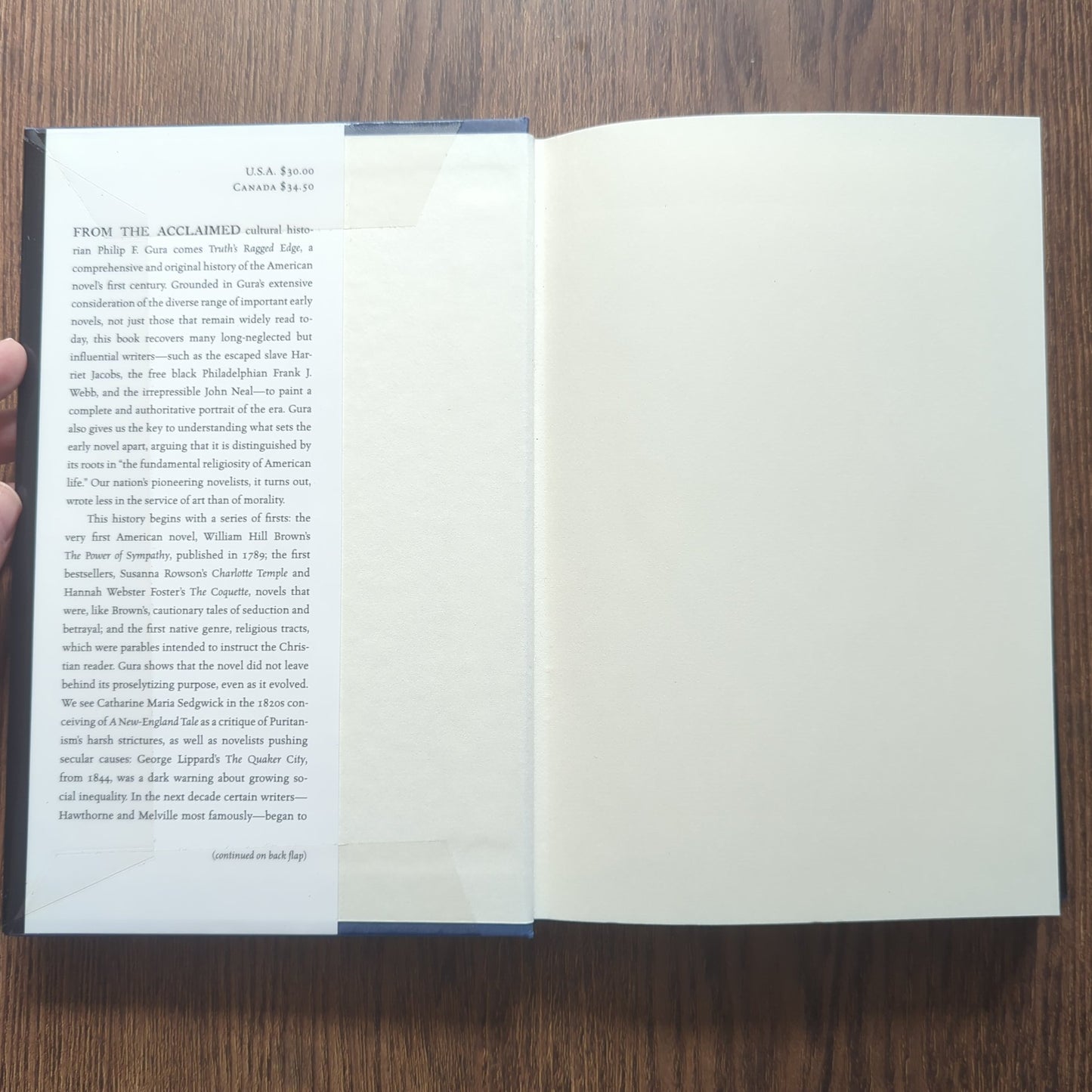 Truth's Ragged Edge - The Rise of the American Novel