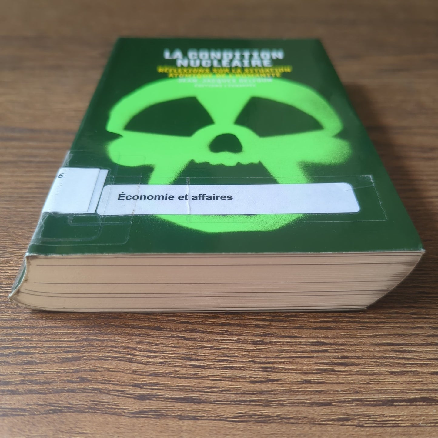 La condition nucléaire - Réflexions sur la situation atomique de l'humanité