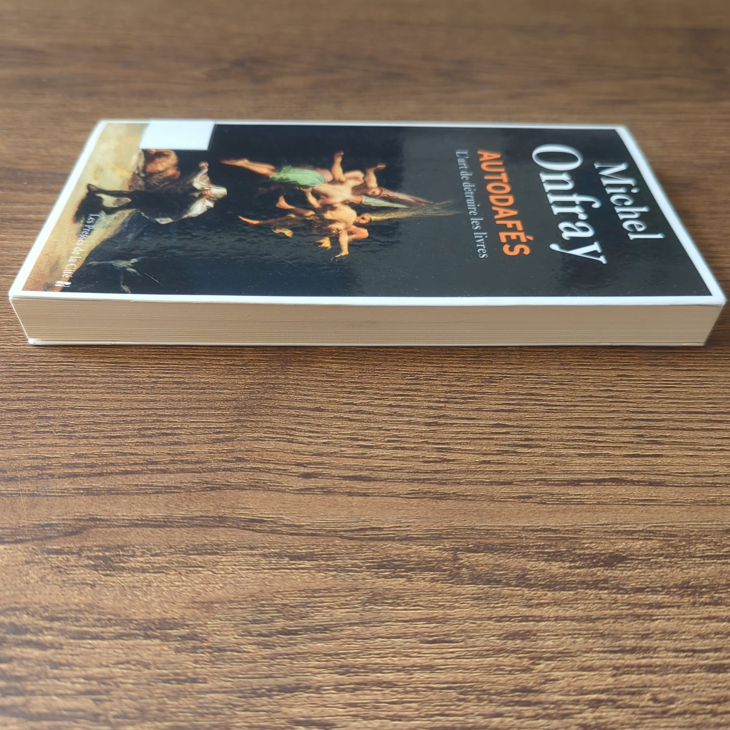Autodafés - L'art de détruire les livres