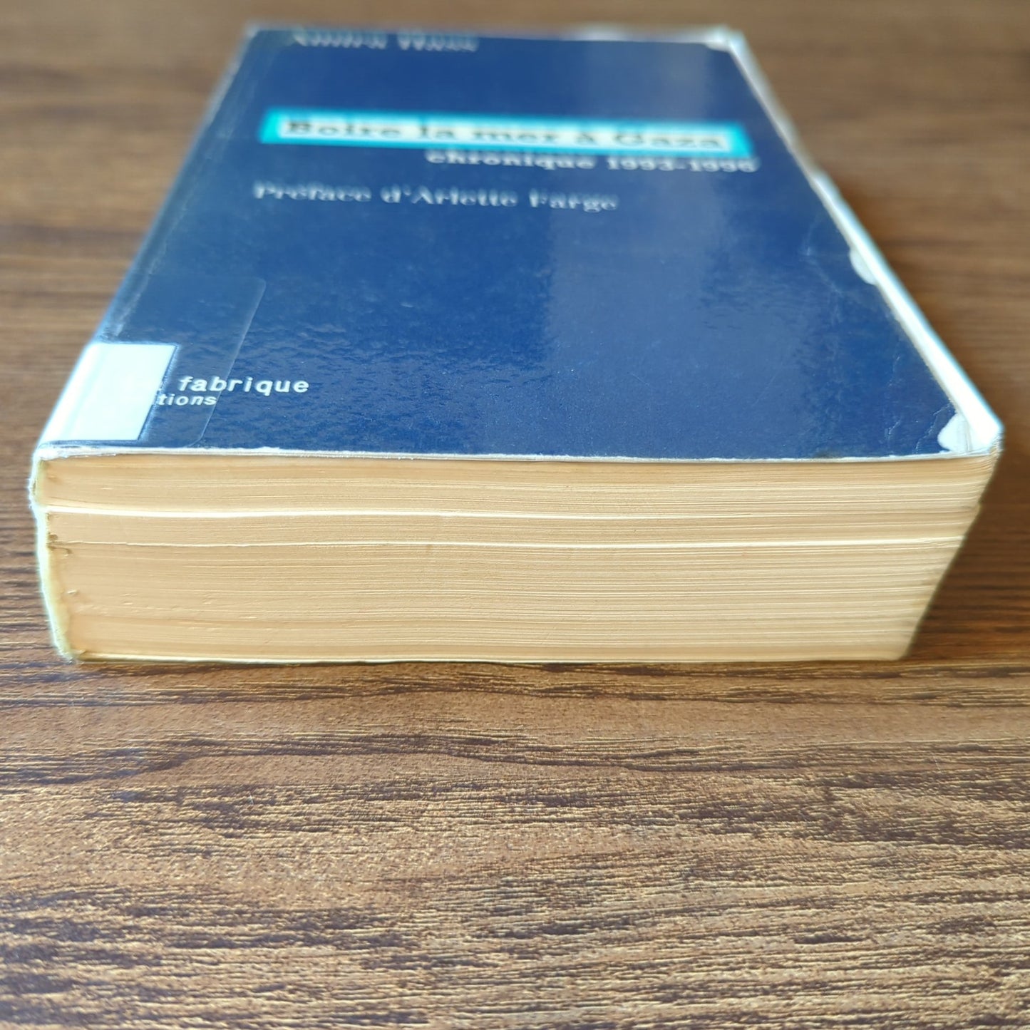 Boire la mer à Gaza: chronique 1993-1996