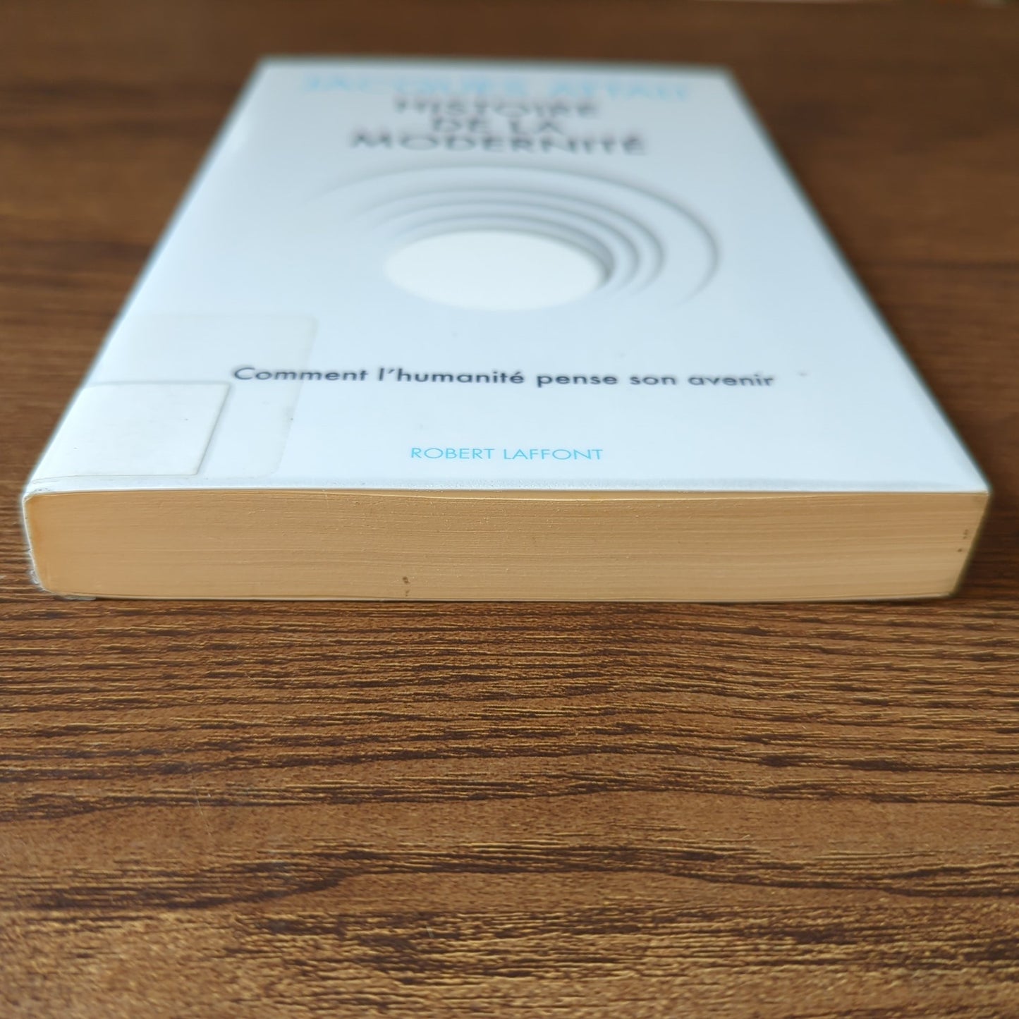 Histoire de la modernité - Comment l'humanité pense son avenir