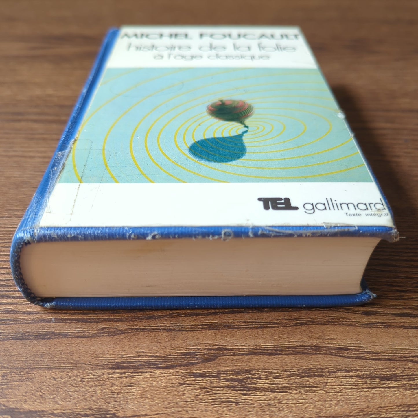 Histoire de la folie à l'âge classique