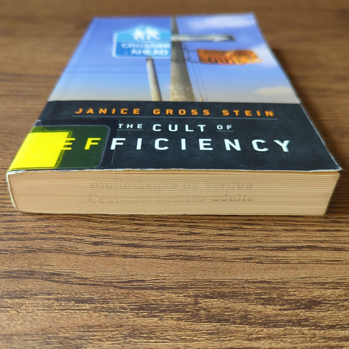 The Cult of Efficiency