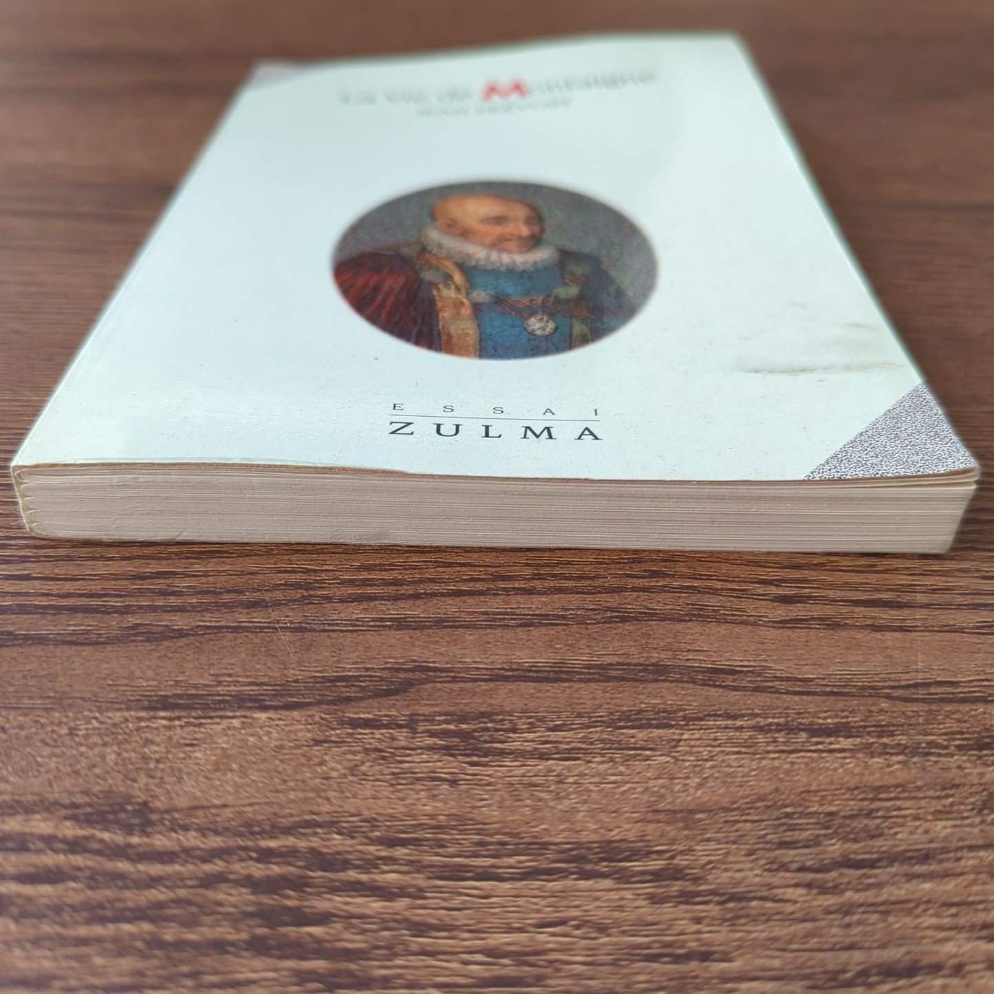 La vie de Montaigne
