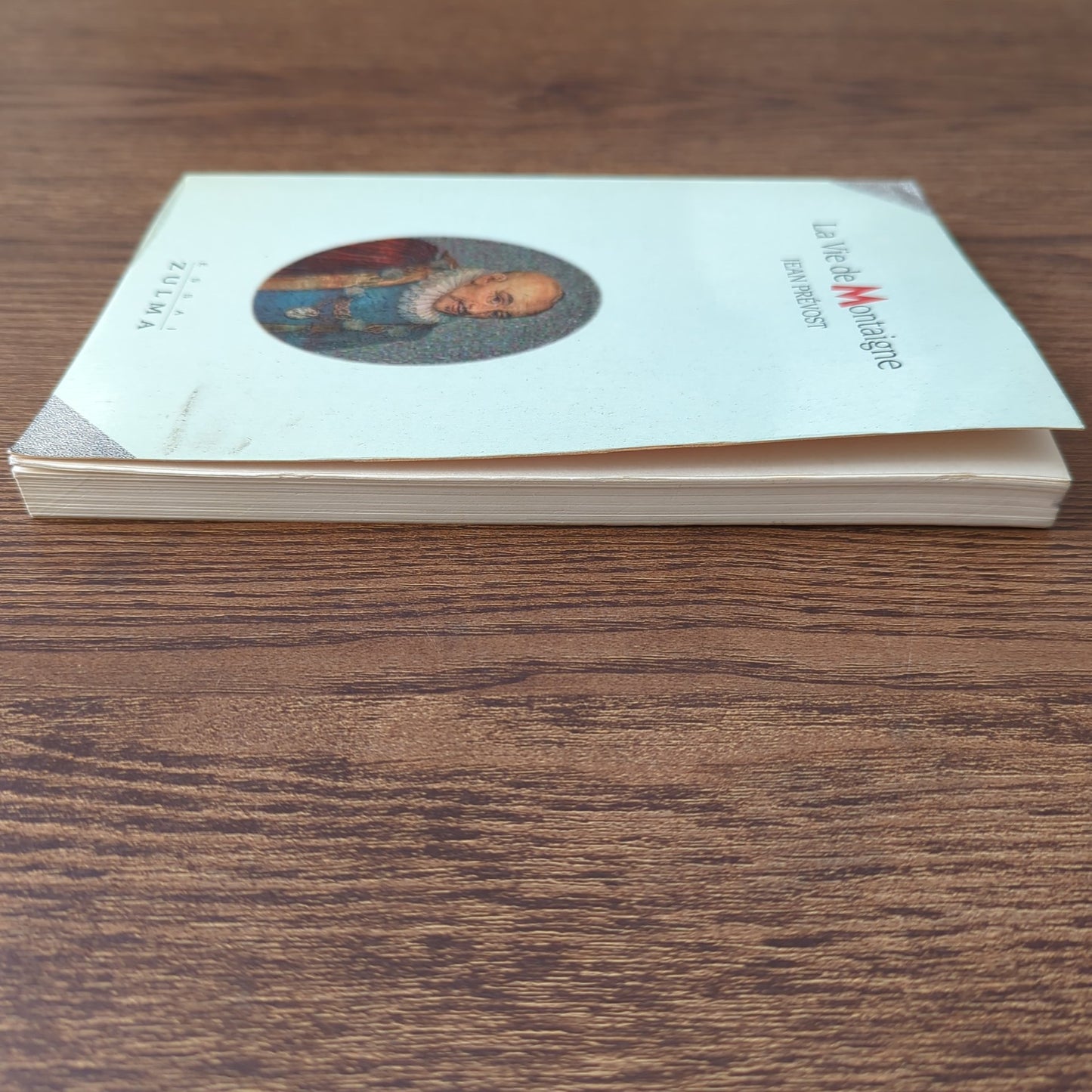 La vie de Montaigne