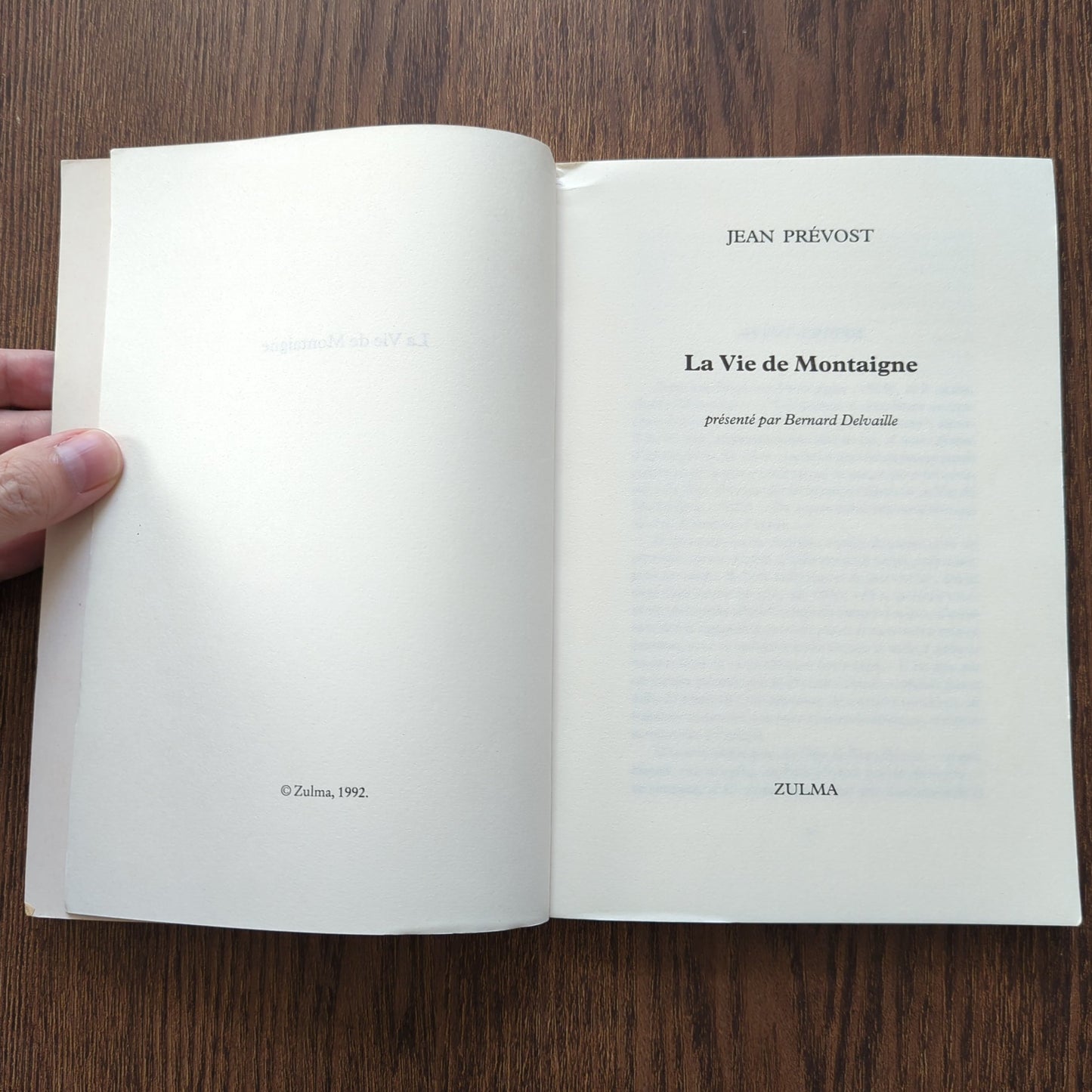 La vie de Montaigne