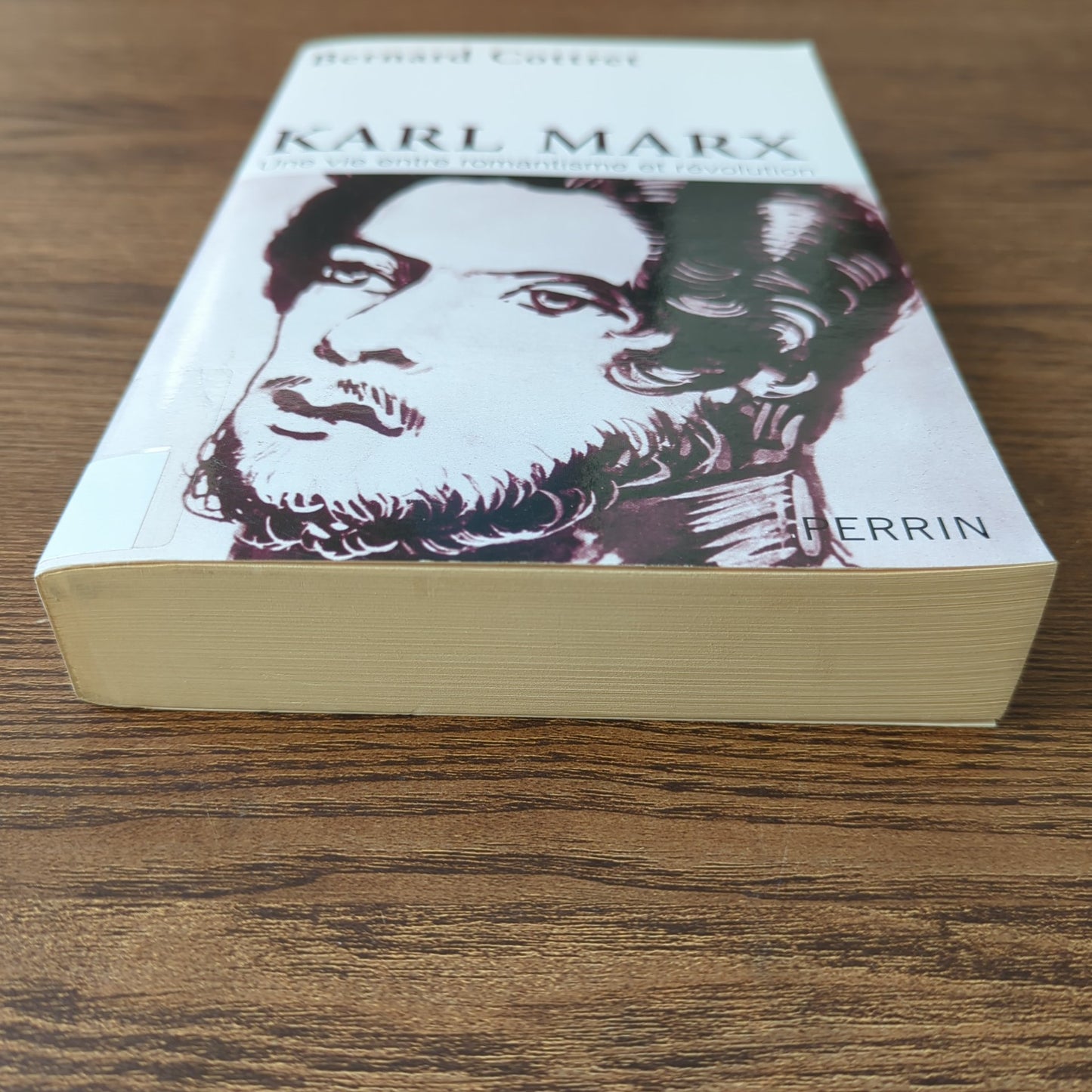 Karl Marx - Une vie entre romantisme et révolution
