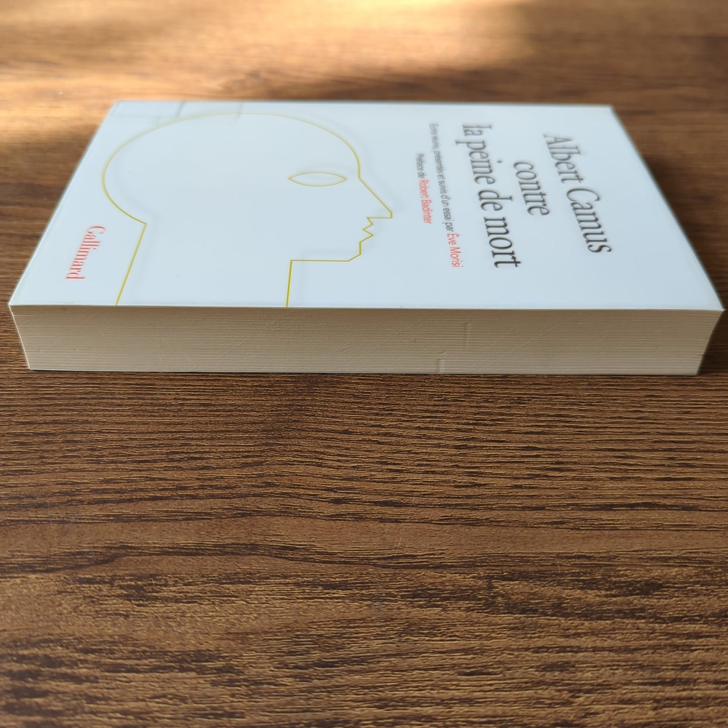 Albert Camus contre la peine de mort