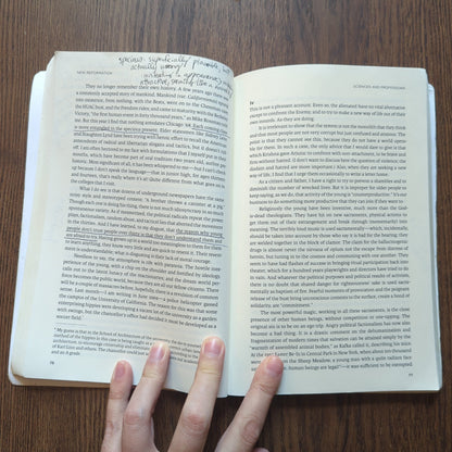 New Reformation - Notes of a Neolithic Conservative