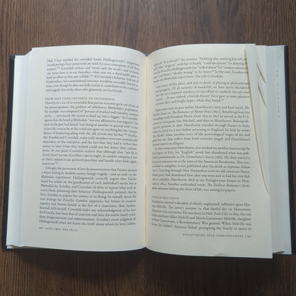 Truth's Ragged Edge - The Rise of the American Novel