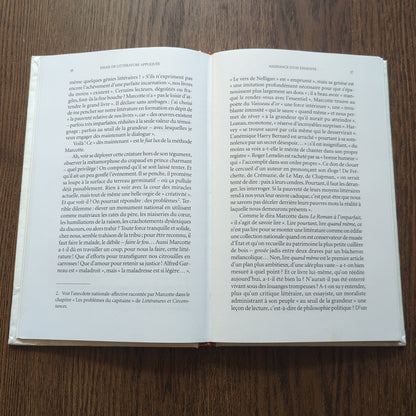 Essais de littérature appliquée