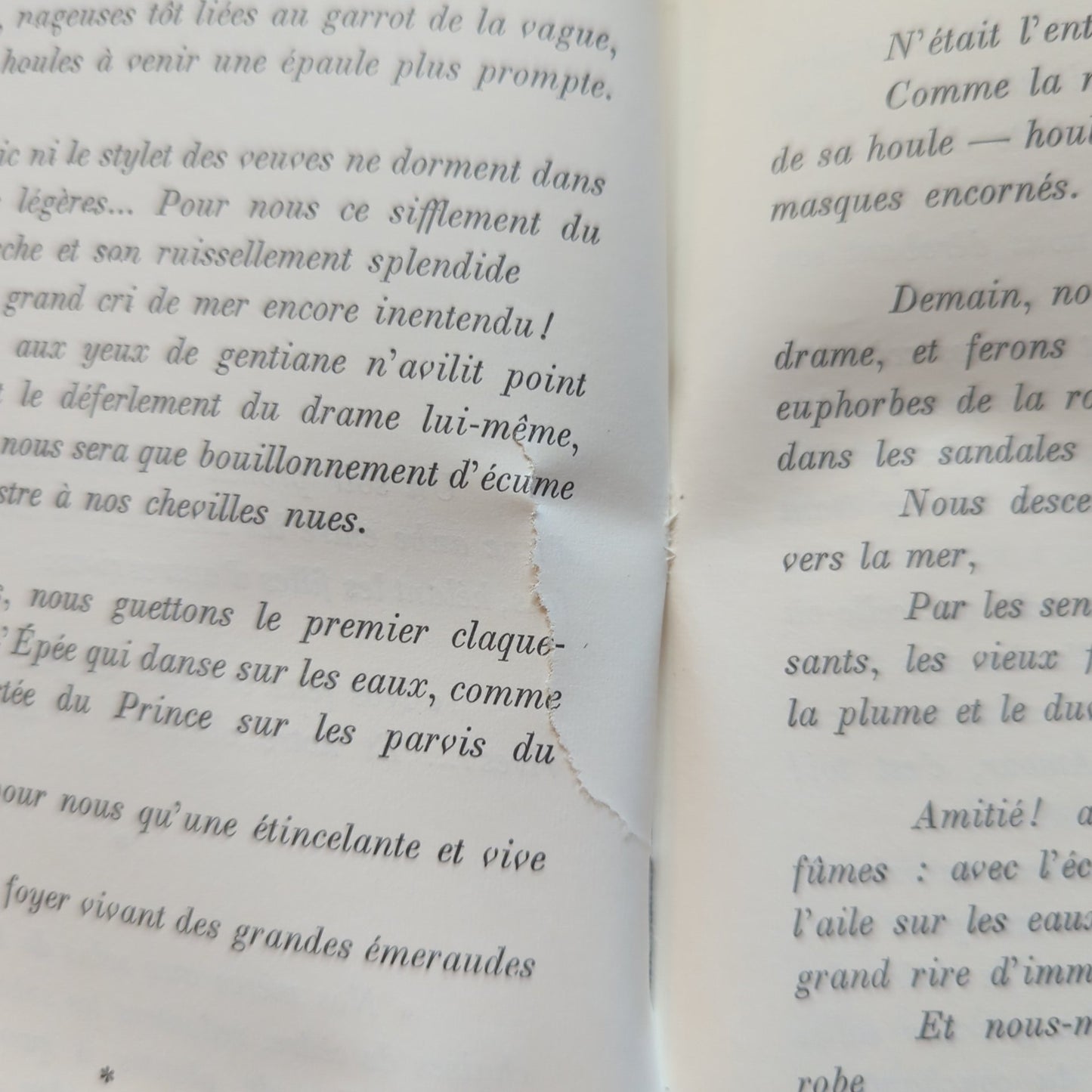 Amers, suivi de Oiseaux