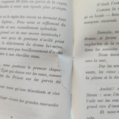Amers, suivi de Oiseaux