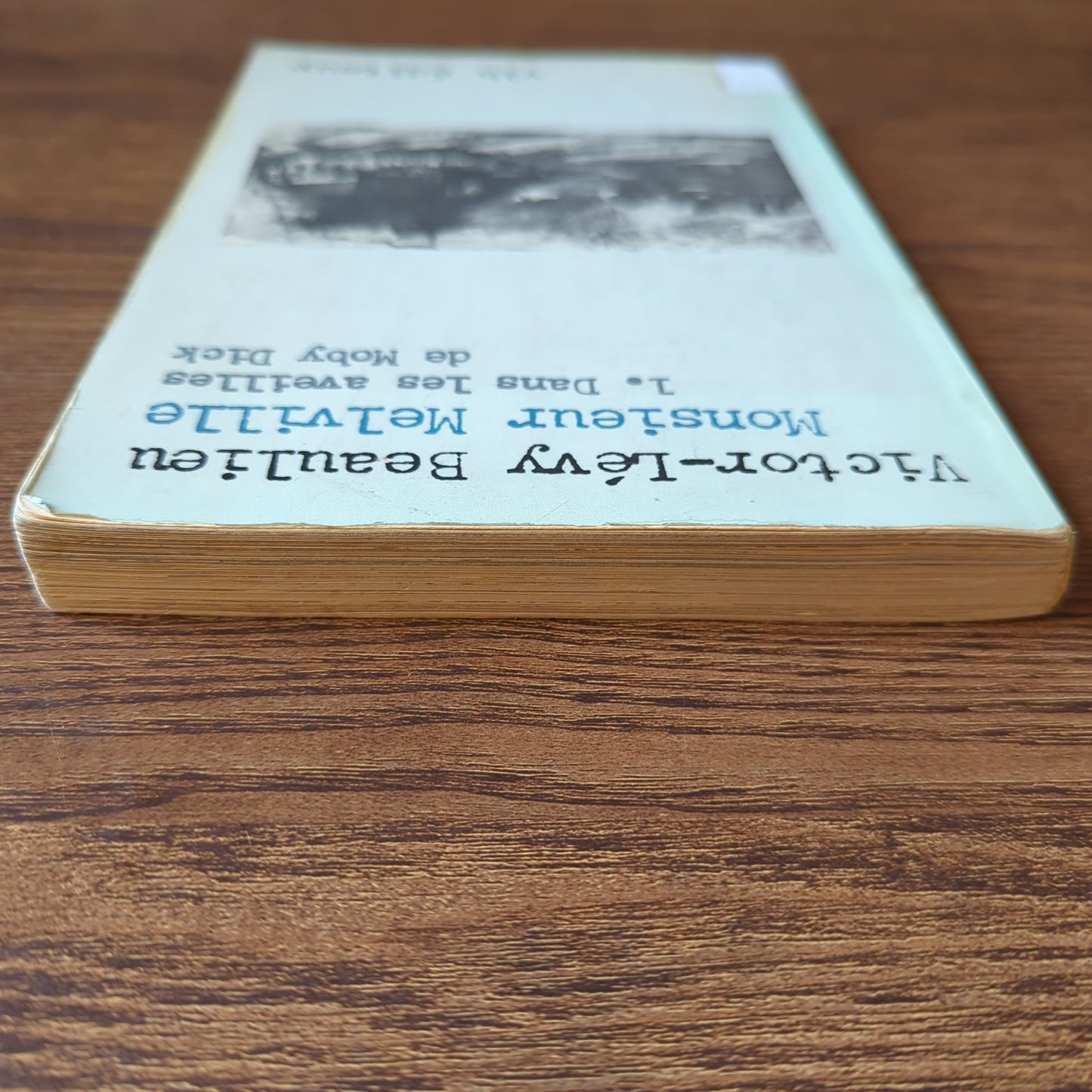 Monsieur Melville - 1. Dans les aveilles de Moby Dick