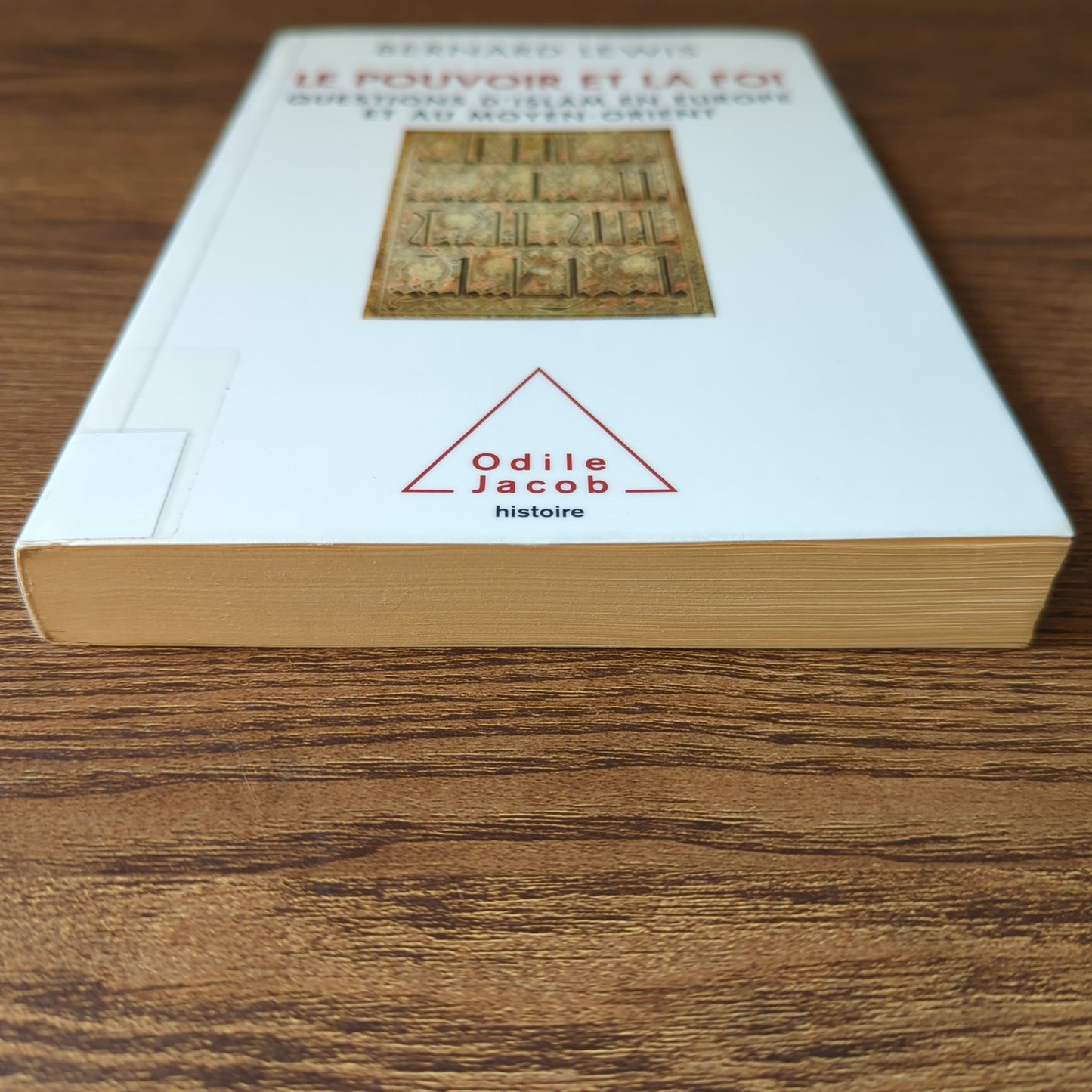 Le pouvoir et la foi - Questions d'islam en Europe et au Moyen-Orient