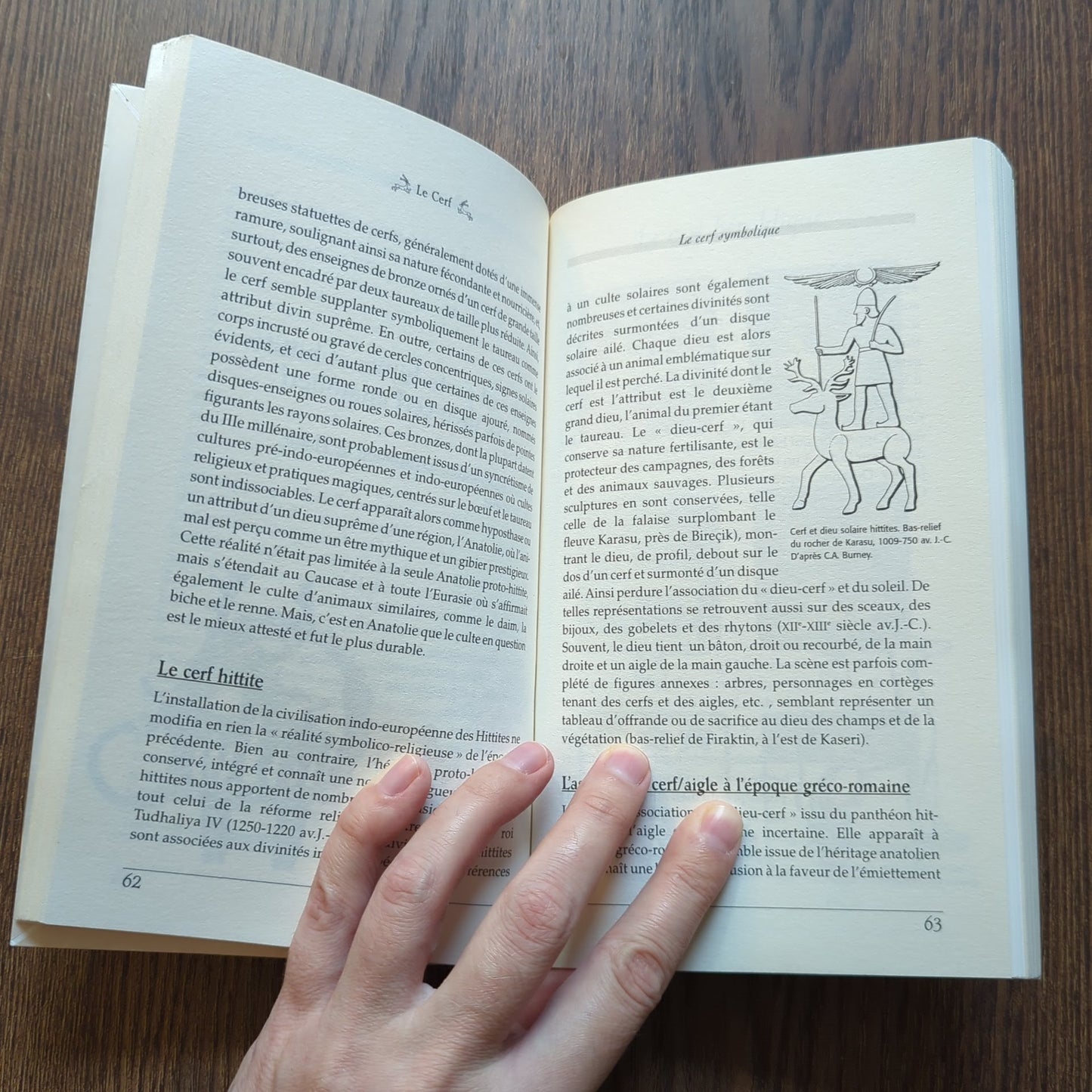 Le Cerf: symboles, mythes, traditions, héraldique