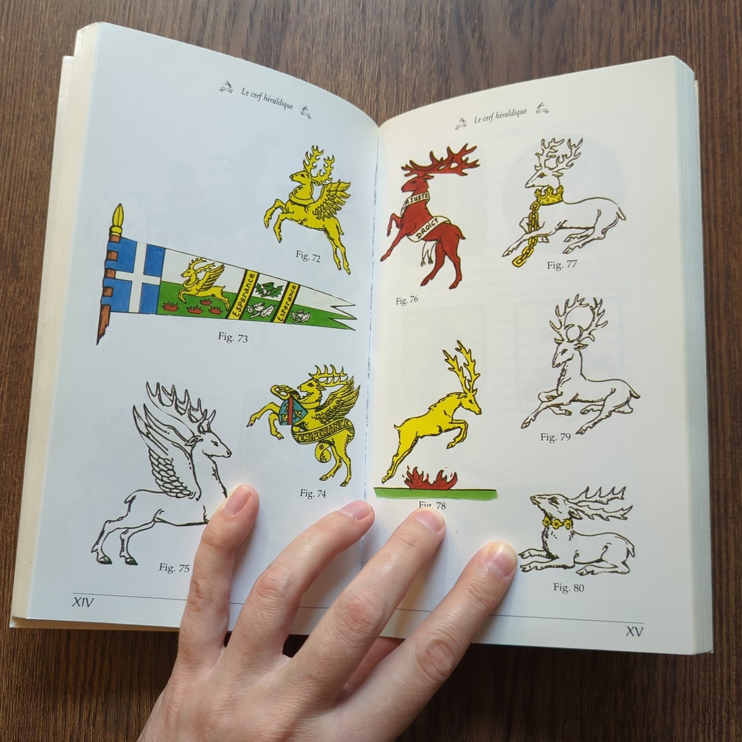 Le Cerf: symboles, mythes, traditions, héraldique